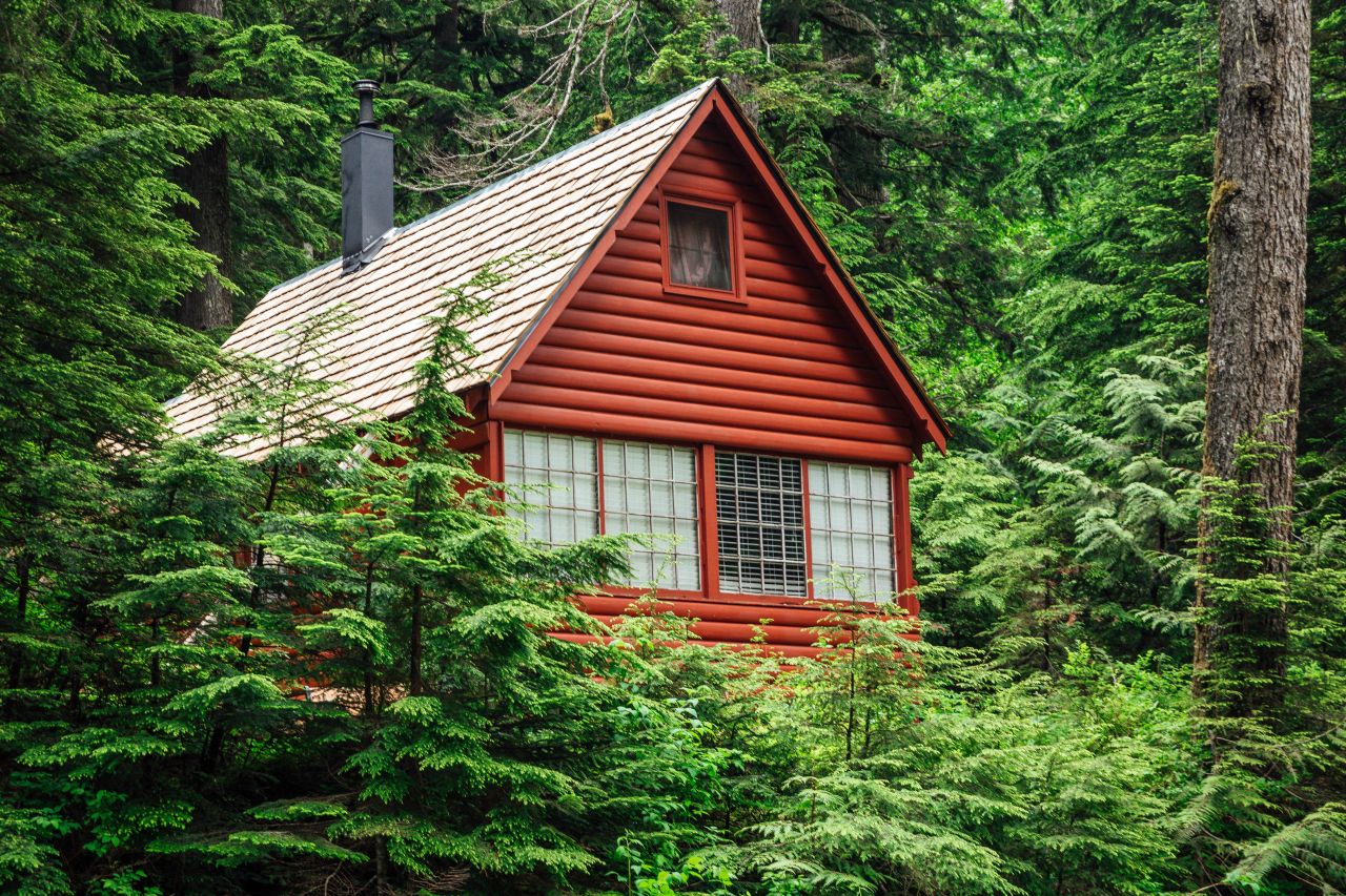 Domy z drewna – jakie mają plusy?